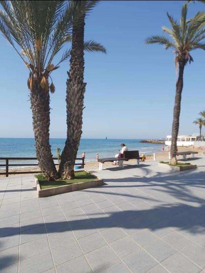 Студия 300 М До Центрального Пляжа Дель Кура Torrevieja Exterior foto